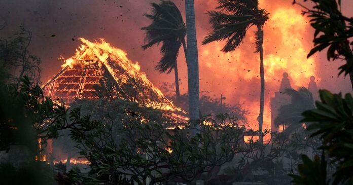 Maui fires live updates 36 dead, thousands flee Hawaii disaster