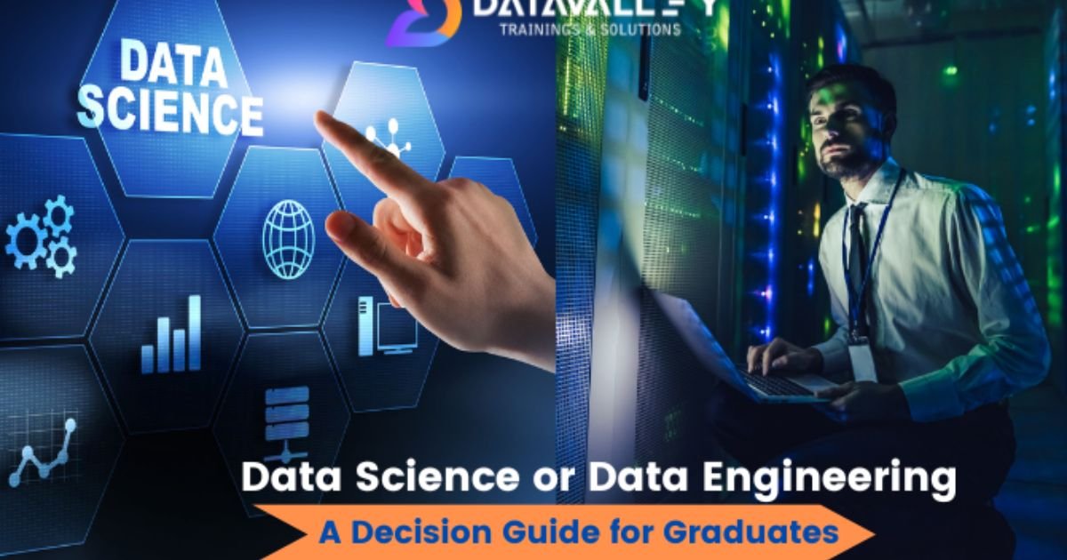 Data Science or Data Engineering A Decision Guide for Graduates